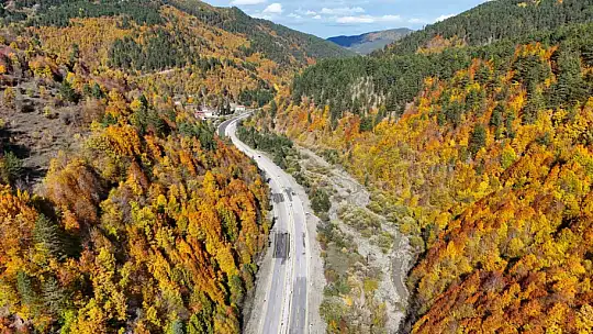 Sonbaharla Kastamonu ormanlarının mest eden buluşması