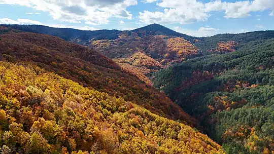 Sonbaharla Kastamonu ormanlarının mest eden buluşması