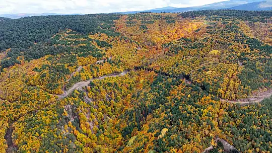 Sonbaharla Kastamonu ormanlarının mest eden buluşması