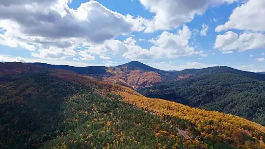 Sonbaharla Kastamonu ormanlarının mest eden buluşması