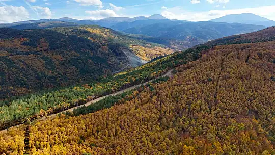 Sonbaharla Kastamonu ormanlarının mest eden buluşması