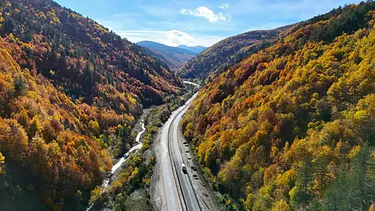 Sonbaharla Kastamonu ormanlarının mest eden buluşması