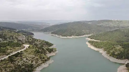Su seviyesi yüzde 30'a düştü, baraj havzası yeşile büründü