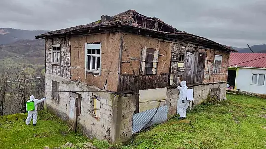 Tarım ve Orman İl Müdürlüğü'nden 'Kahverengi Kokarca' çağrısı