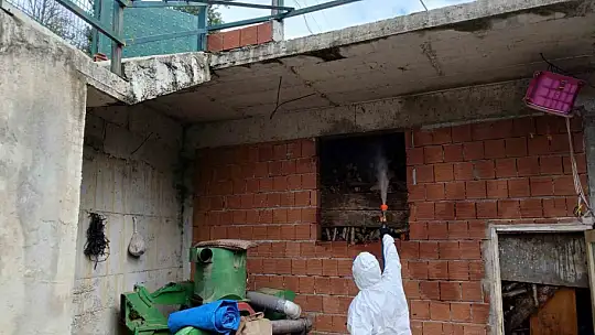 Tarım ve Orman İl Müdürlüğü'nden 'Kahverengi Kokarca' çağrısı