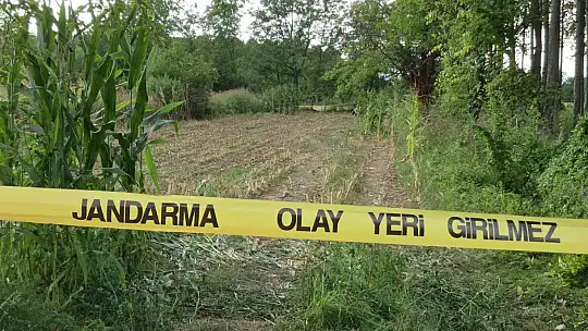 Tarlada bulunan kafatası ve kemikler jandarmayı harekete geçirdi