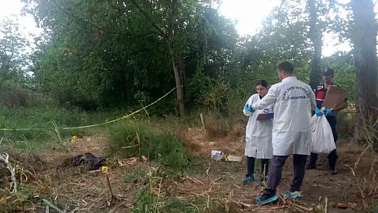 Tarlada bulunan kafatası ve kemikler jandarmayı harekete geçirdi