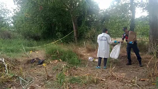 Tarlada bulunan kafatası ve kemikler jandarmayı harekete geçirdi