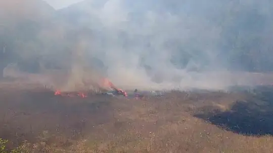 Tarlada çıkan yangın samanlığı küle çevirdi