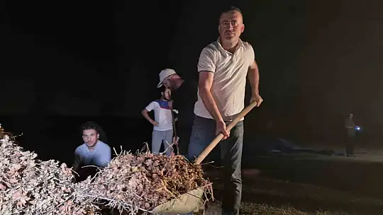 Tarlada fındık nöbeti