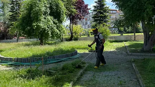 Taşköprü Belediyesi'nin haşereyle mücadele çalışmaları başladı