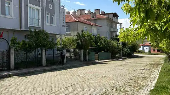Taşköprü Belediyesi'nin haşereyle mücadele çalışmaları başladı