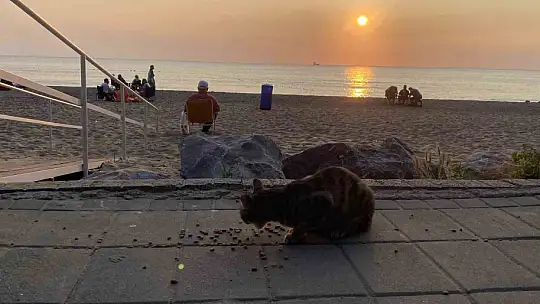 Tatil köyü İnkumu, bayramın ilk gününü sakin geçirdi