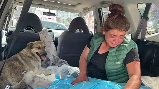 Tedavi için kliniğe getirdiği köpeği ölünce, yaralı sokak köpeğini gözyaşlarıyla sahiplendi