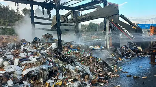 TEM Otoyolu'nda seyir halindeki tırın dorsesi alev alev yandı