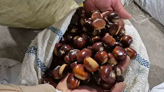 Tescilli lezzet pazara indi: Düzce'nin coğrafi işaretli