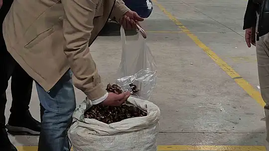 Tescilli lezzet pazara indi: Düzce'nin coğrafi işaretli