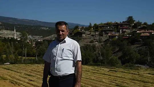 Tescilli Tosya pirincinin hasadı başladı