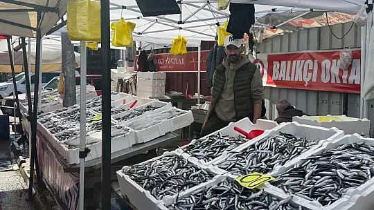 Tezgahta 100 liraya düşen hamsi yoğun ilgi gördü
