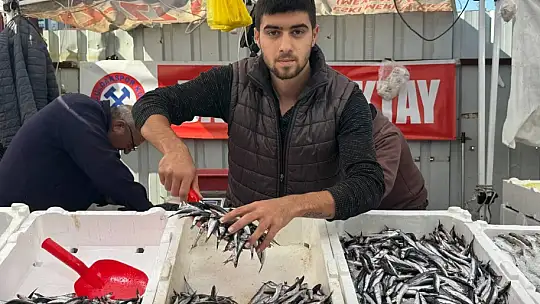 Tezgahta 100 liraya düşen hamsi yoğun ilgi gördü