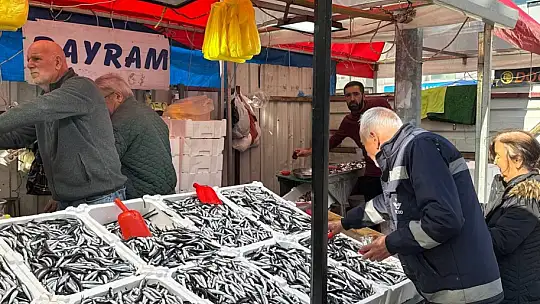 Tezgahta 100 liraya düşen hamsi yoğun ilgi gördü