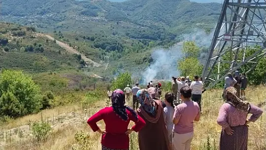 Tırpan motoru fındık bahçesini yaktı