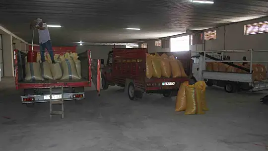 Fındık alımlarına başladı: İlk fındık 90 liradan satıldı