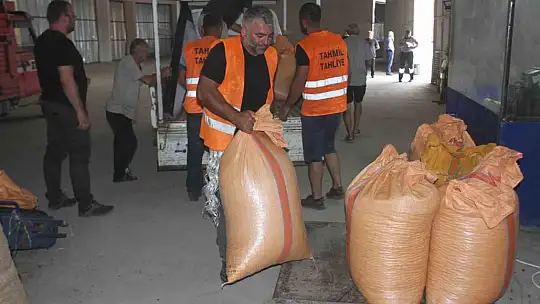 Fındık alımlarına başladı: İlk fındık 90 liradan satıldı