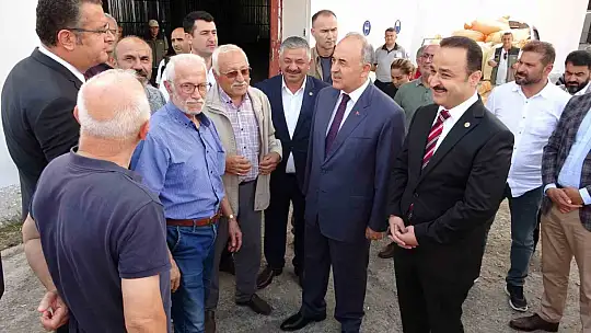 Fındık alımlarına başladı: İlk fındık 90 liradan satıldı