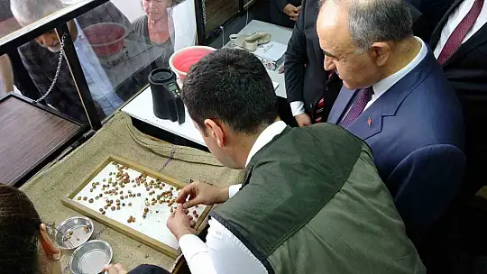 Fındık alımlarına başladı: İlk fındık 90 liradan satıldı
