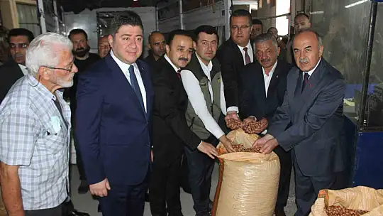 Fındık alımlarına başladı: İlk fındık 90 liradan satıldı