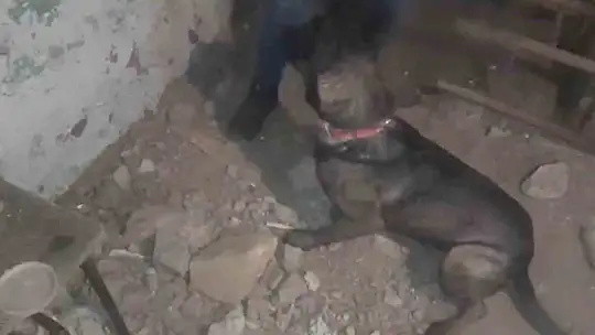 Toprağa gömdüğü uyuşturucuyu jandarmadan gizleyemedi: 1 tutuklama