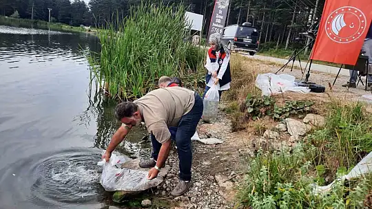 Topuk Yaylası göletine 100 bin adet pullu sazan yavrusu bırakıldı