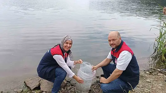 Topuk Yaylası göletine 100 bin adet pullu sazan yavrusu bırakıldı