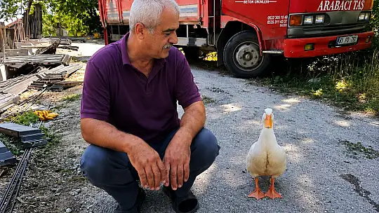 Torunların hevesi geçti, dedenin en yakın dostu oldu
