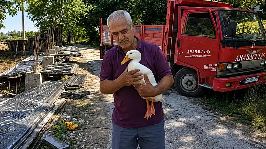 Torunların hevesi geçti, dedenin en yakın dostu oldu