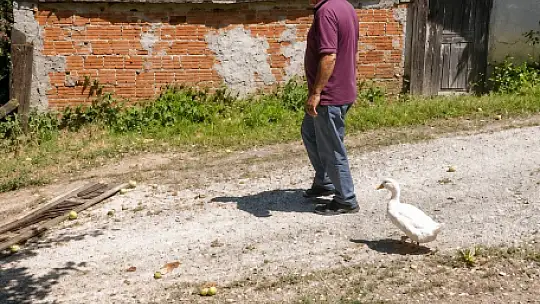 Torunların hevesi geçti, dedenin en yakın dostu oldu