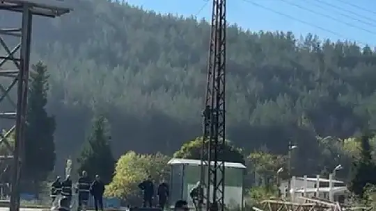 Trafik cezasına öfkelenen sürücü elektrik direğine çıktı