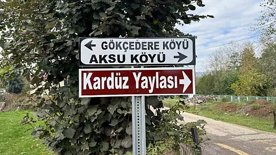 Trafik güvenliği için yeni levhalar yerleştirildi