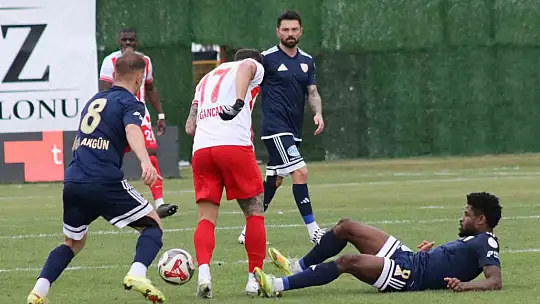 Trendyol 1. Lig: Boluspor: 2 - Erzurumspor FK: 0