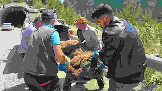 Tünelde başlayan yaşam mücadelesi çayda son buldu