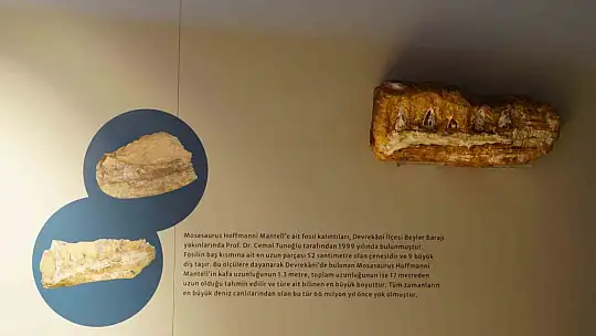 Türk profesör, Asya'da ilk kez keşfedilen
