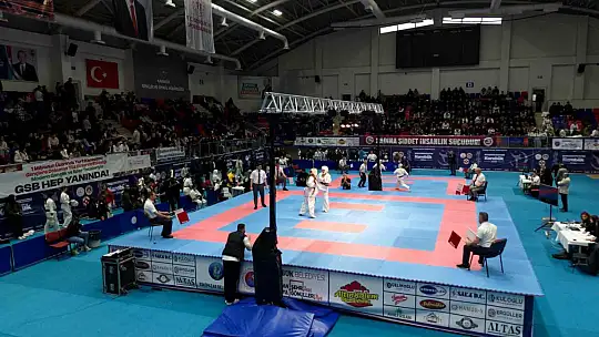 Türkiye Kyokushin Karate Şampiyonası, Karabük'te sona erdi