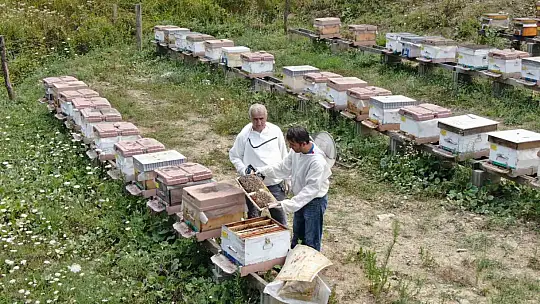 Türkiye'nin AB tescilli 43'üncü ürünü Yenice ıhlamur balı oldu