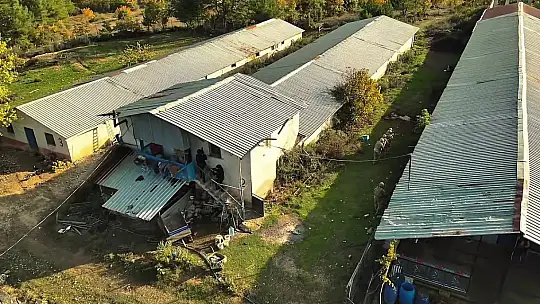 Üç yıldır aranan 29 yıl hapis hükümlüsü firari hayvan çiftliğinde yakalandı