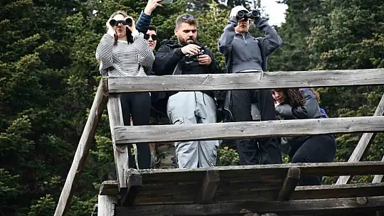 Üniversite öğrencileri dersi Ilgaz Dağı'nda işledi