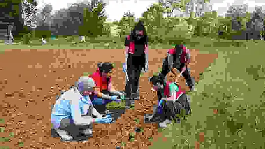 Üniversite serasında üretiliyor: Çiftçilerin geliri aromatik bitkilerle artacak