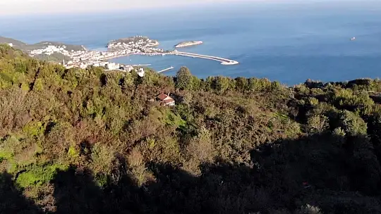 Uzmanlardan orman yangınlarına karşı uyarı