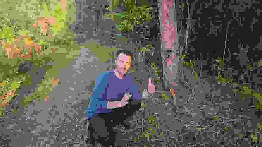 Vahşi yaşam fotokapana yansıdı