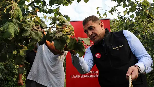 Vali Aslan, önce horon oynadı ardından hasat sezonunu açtı